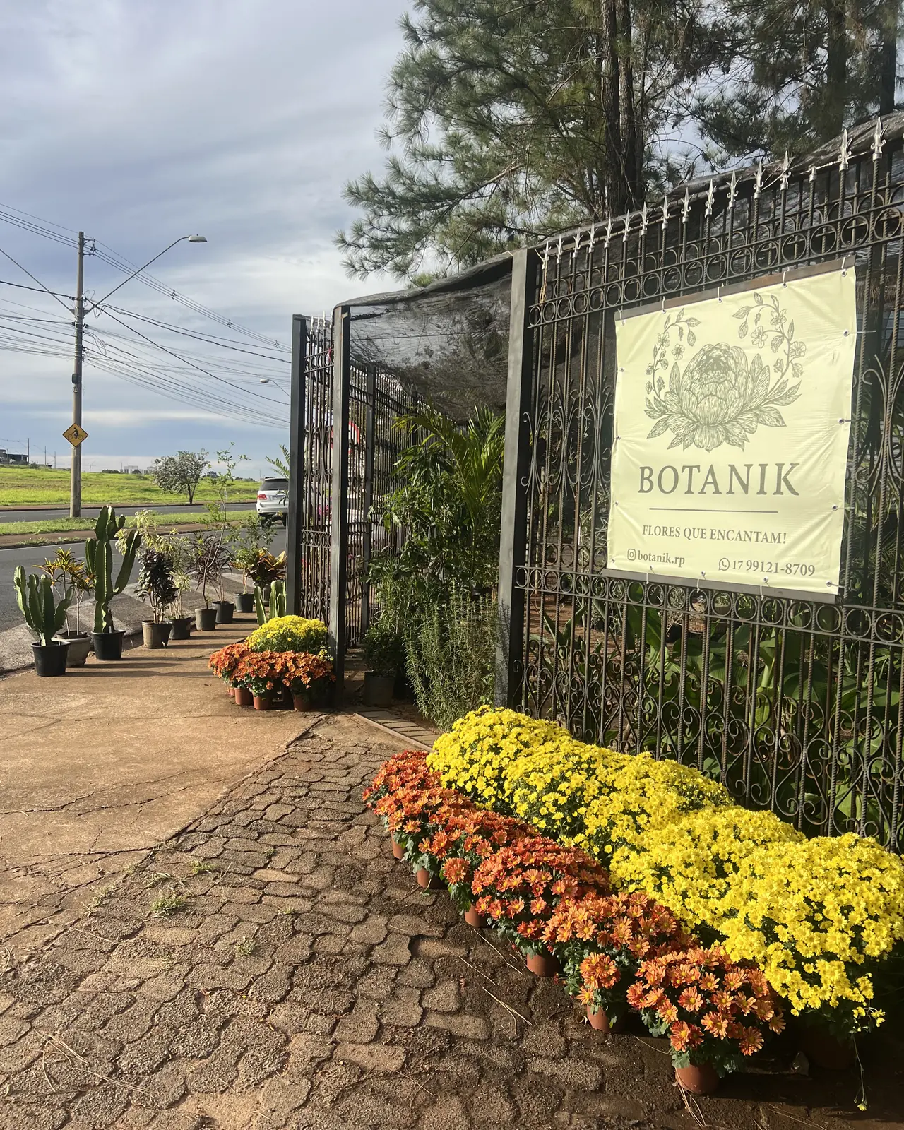 Entrada da Botanik: a placa com o emblema da protea e o nome da casa pendurada no portão de ferro, e uma faixa de crisântemos amarelos e laranja em vasos de barro à frente.