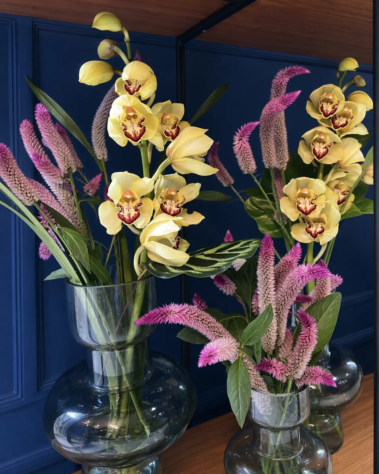 Dois vasos de vidro com orquídeas cymbidium amarelas e celósias rosa, contra parede azul-marinho com boiserie.