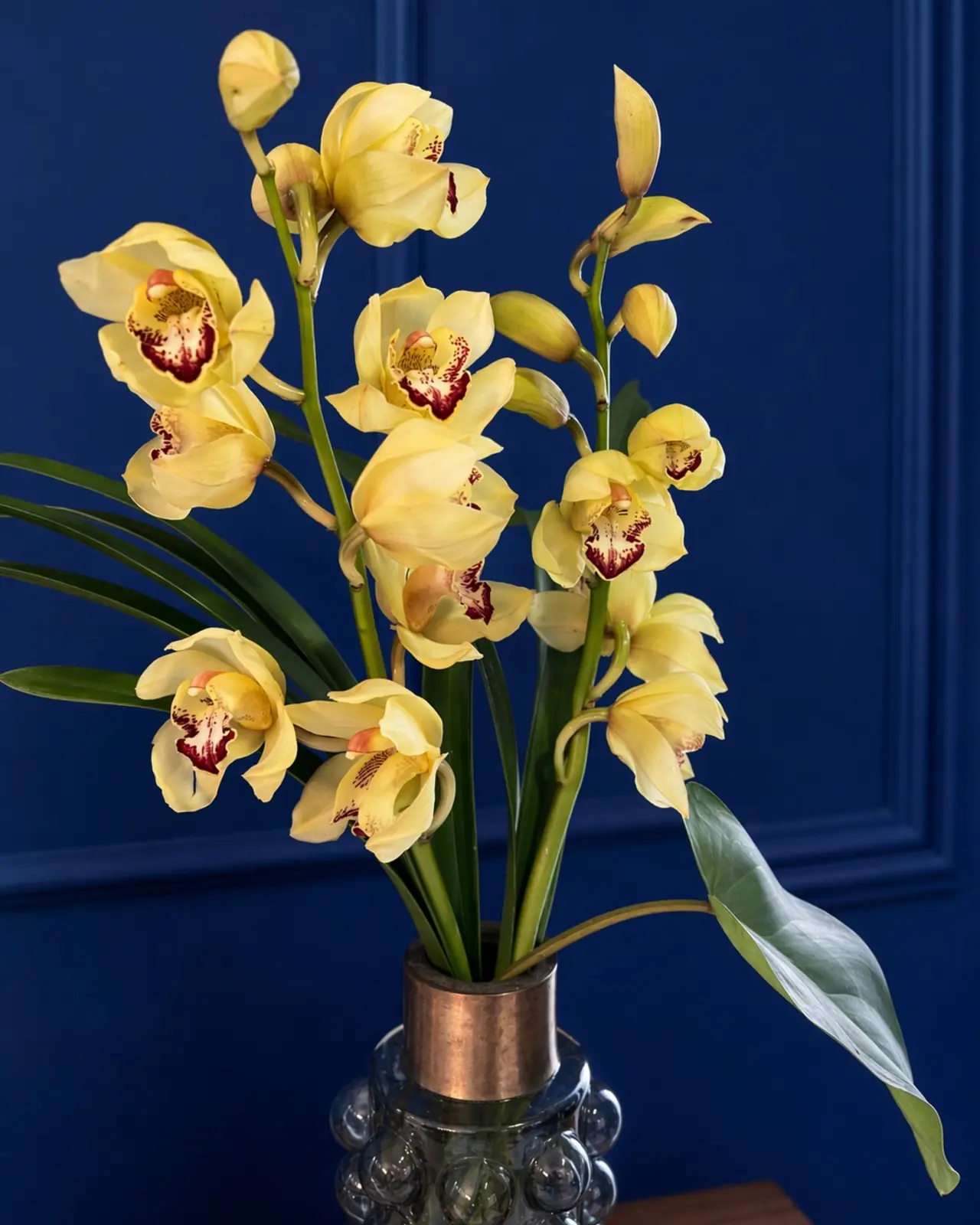 Arranjo de orquídeas cymbidium amarelas em vaso de vidro texturizado, visto de perto contra a parede azul.